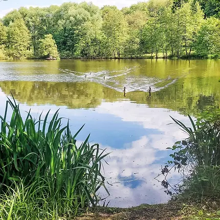 Kellerwald-liebe By Interhome Casa de Férias Frankenau