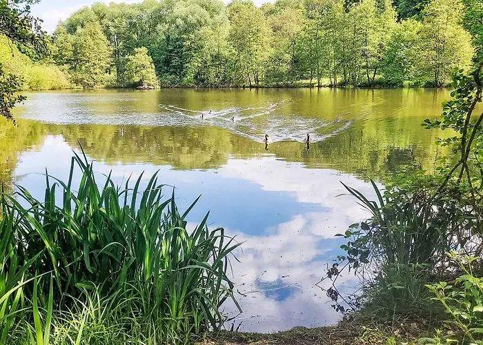 Kellerwald-liebe By Interhome Ferienhaus Frankenau